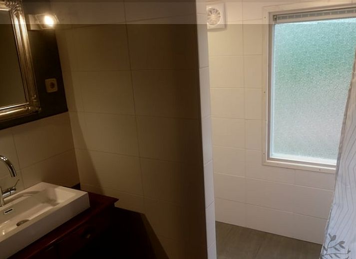 Natuurlijke omgeving van Vakantiehuisje in Haulerwijk, met een vijver en groene bossen in Friesland.