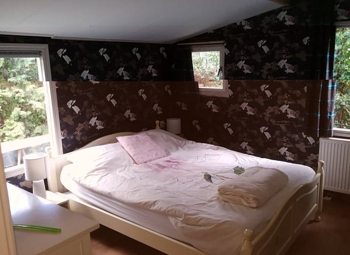 Natuurlijke omgeving van Vakantiehuisje in Haulerwijk, met een vijver en groene bossen in Friesland.