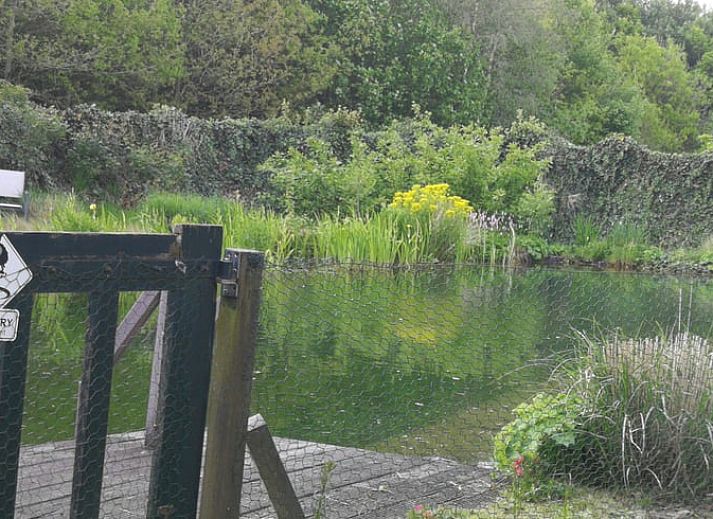 Terras bij Vakantiehuisje in Haulerwijk met uitzicht op vijver, gelegen in de Friese bossen van Friesland.