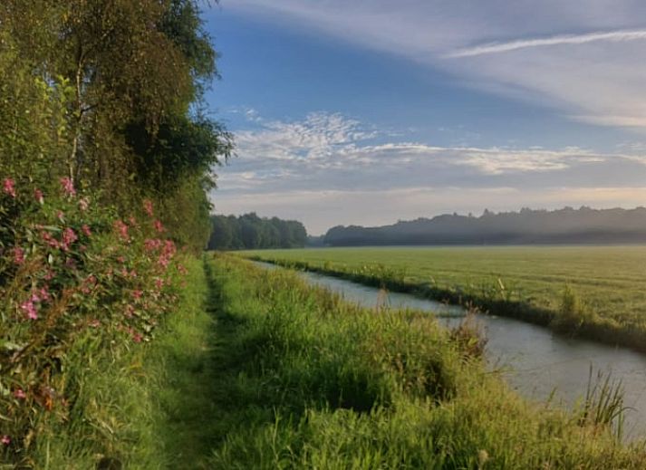 Vakantiehuis in Haulerwijk met zonnig terras, gelegen in de Friese bossen van Friesland.