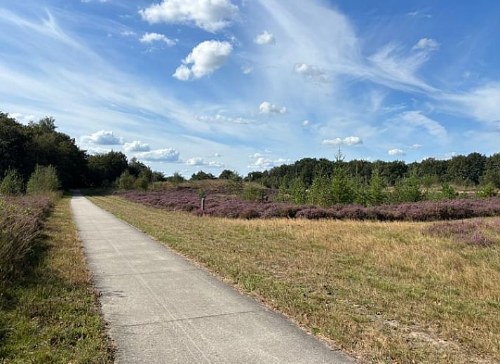Prachtig uitzicht op zonsondergang vanaf Vakantiehuis in Haulerwijk, midden in de Friese bossen.