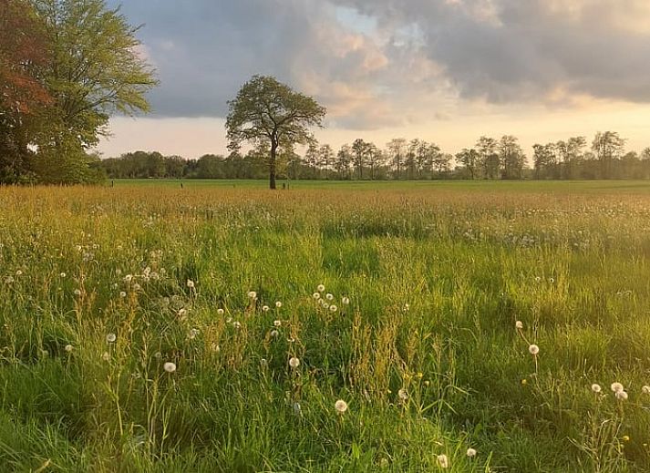 Prachtig uitzicht op zonsondergang vanaf Vakantiehuis in Haulerwijk, midden in de Friese bossen.