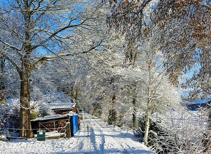 Landschap rondom Vakantiehuis in Haulerwijk, met weelderige groene velden in Friesland.
