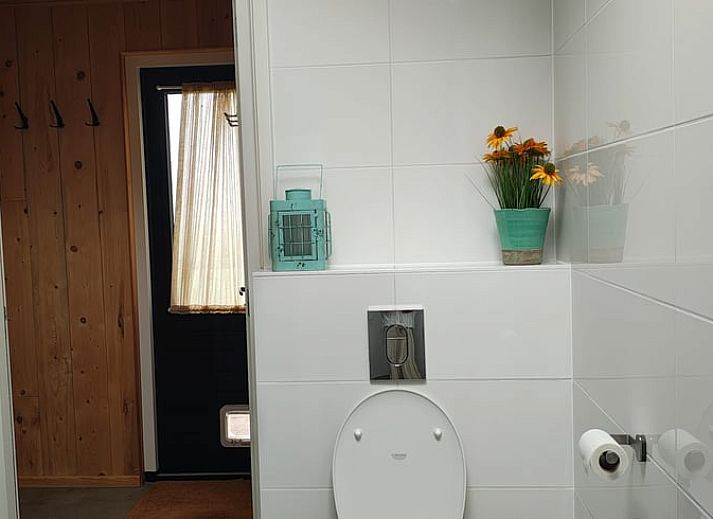 Landschap rondom Vakantiehuis in Haulerwijk, met weelderige groene velden in Friesland.