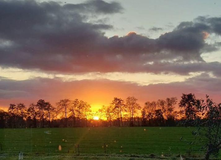 Adembenemende zonsondergang bij Vakantiehuis in Haulerwijk, gelegen in de Friese bossen.