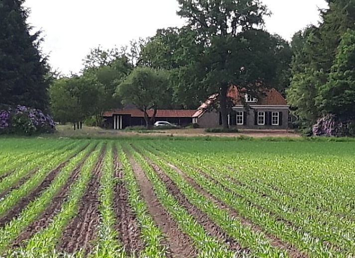 Unterkunft 231502 - Ferienhaus Friese bossen - Huisje in Boijl