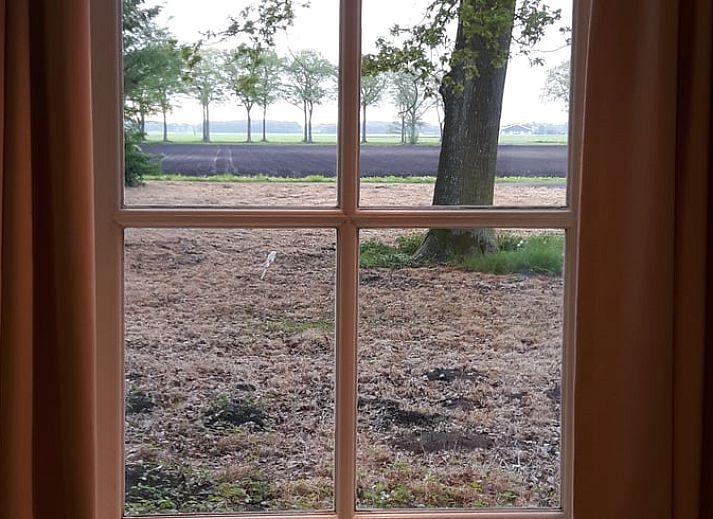 Unterkunft 231502 - Ferienhaus Friese bossen - Huisje in Boijl