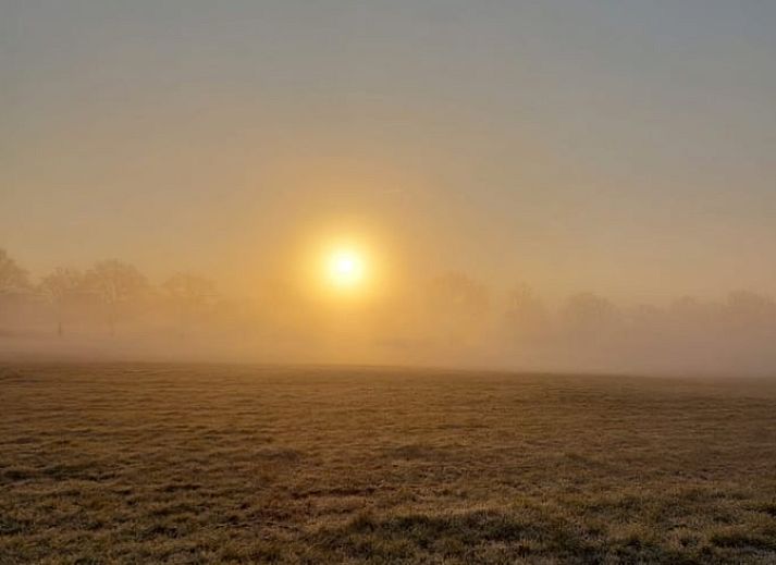 Vooraanzicht van Huisje in Boijl, een vakantiehuis in de Friese bossen van Friesland.