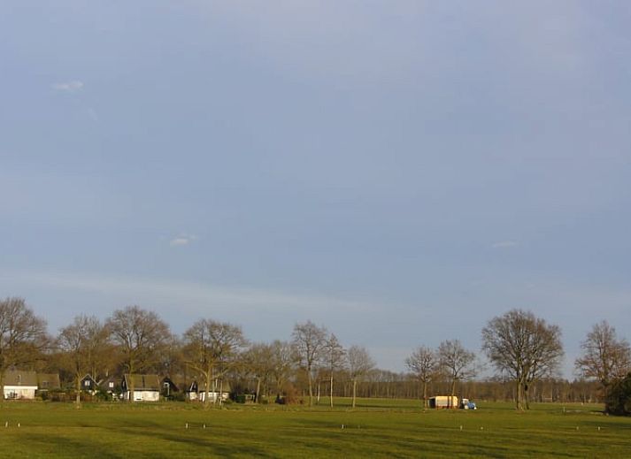 Terras van Huisje in Boijl, vakantieverblijf in de Friese bossen van Friesland.