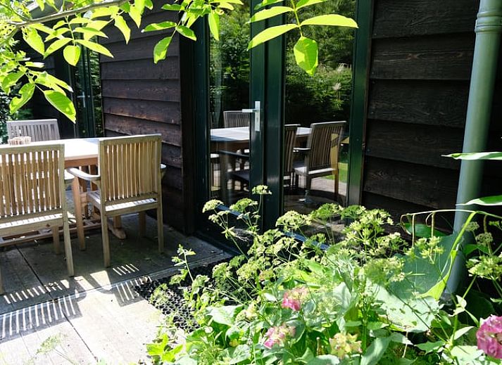 Gezellige leeshoek in Vakantiehuisje in Boijl, omringd door de Friese bossen van Friesland.