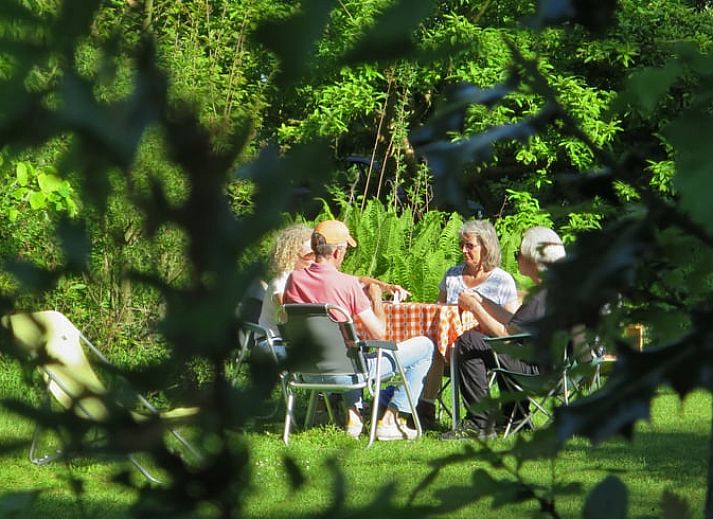 Gezellige leeshoek in Vakantiehuisje in Boijl, omringd door de Friese bossen van Friesland.