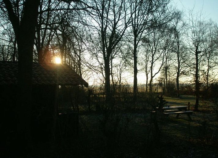 Rustieke houten facade van Vakantiehuisje in Boijl, genesteld in de groene natuur van Friesland.