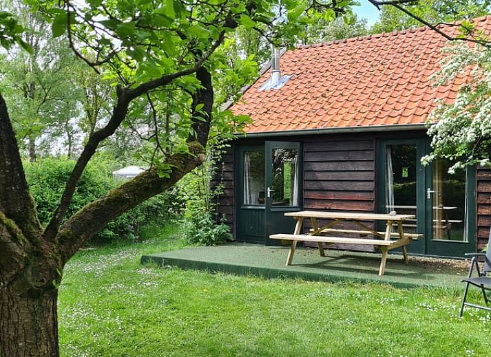 Buitenterras bij Vakantiehuisje in Boijl, ideaal voor een ontspannen maaltijd in de Friese bossen.