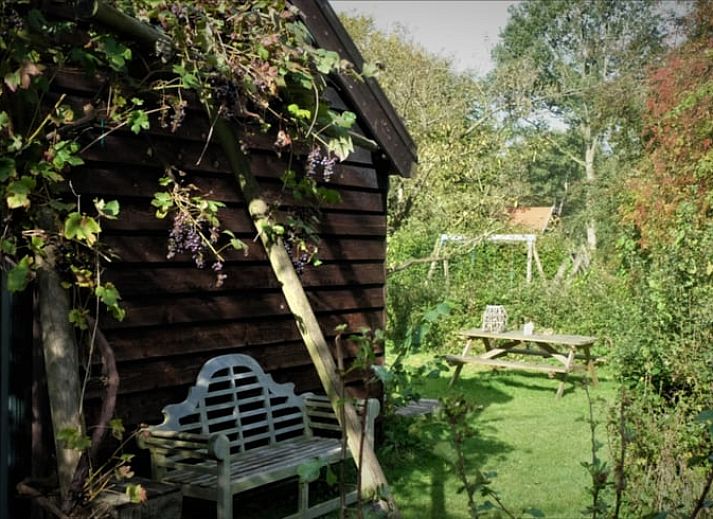 Buitenterras bij Vakantiehuisje in Boijl, ideaal voor een ontspannen maaltijd in de Friese bossen.