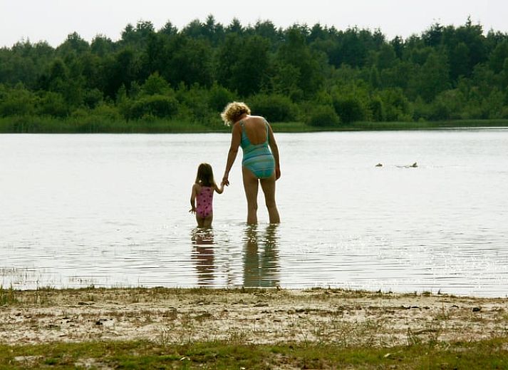 Kinderen spelen in de natuur rondom Vakantiehuisje in Boijl, midden in de Friese bossen.