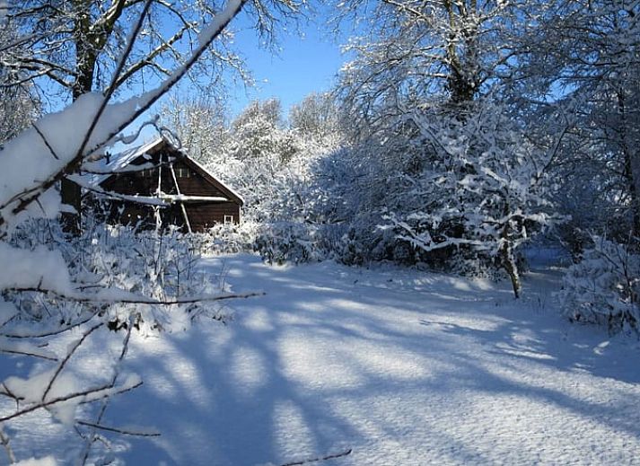 Kinderen spelen in de natuur rondom Vakantiehuisje in Boijl, midden in de Friese bossen.