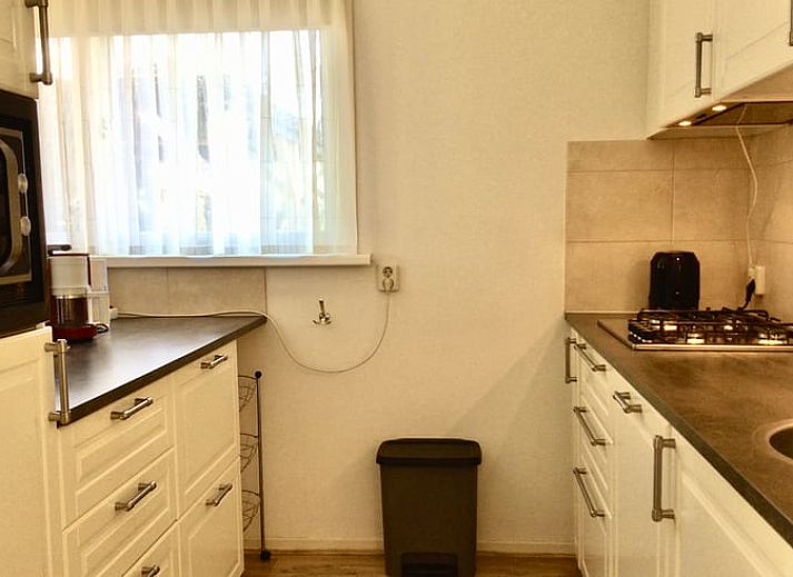 Guest house 231508 - Holiday property Friese bossen - Vakantiehuis in Boijl