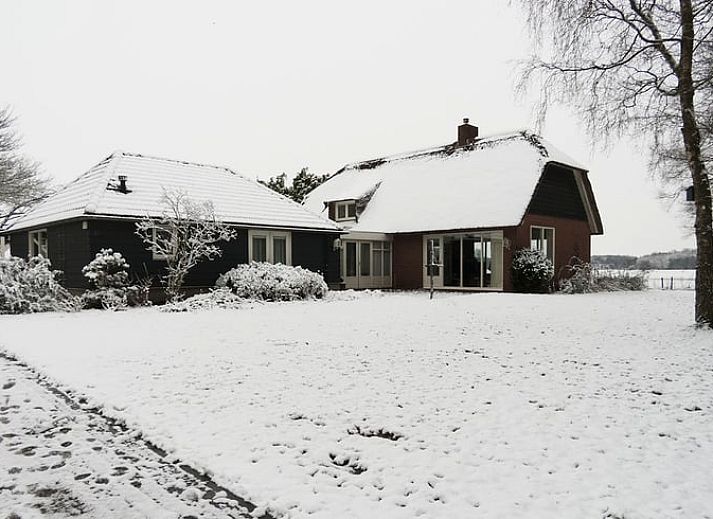 Guest house 231508 - Holiday property Friese bossen - Vakantiehuis in Boijl