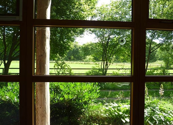 Unterkunft 231511 - Ferienhaus Friese bossen - Vakantiehuis in Boijl