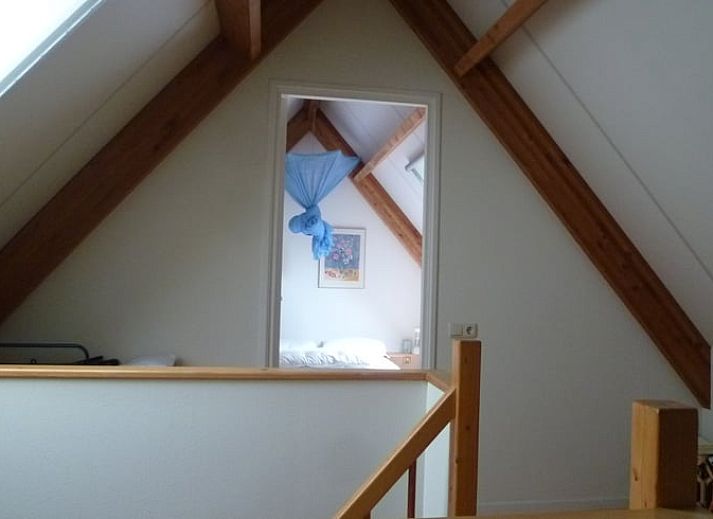 Unterkunft 231511 - Ferienhaus Friese bossen - Vakantiehuis in Boijl