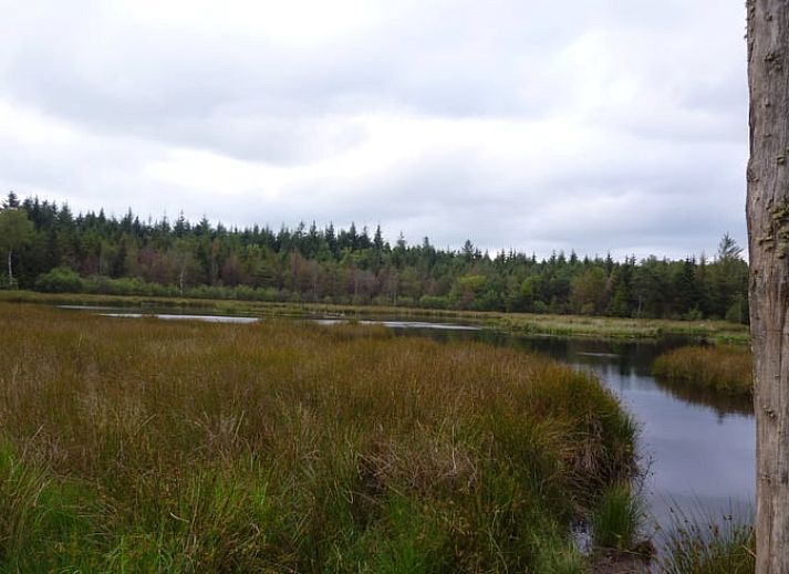 Unterkunft 231511 - Ferienhaus Friese bossen - Vakantiehuis in Boijl