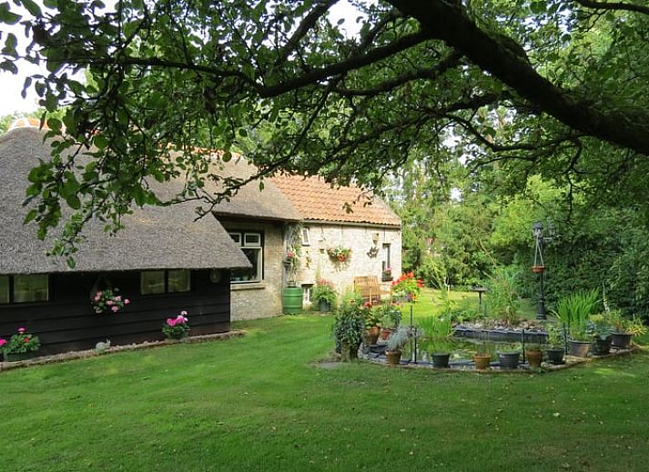 Verblijf 231514 • Vakantiewoning Friese bossen • Natuurhuisje in Boijl