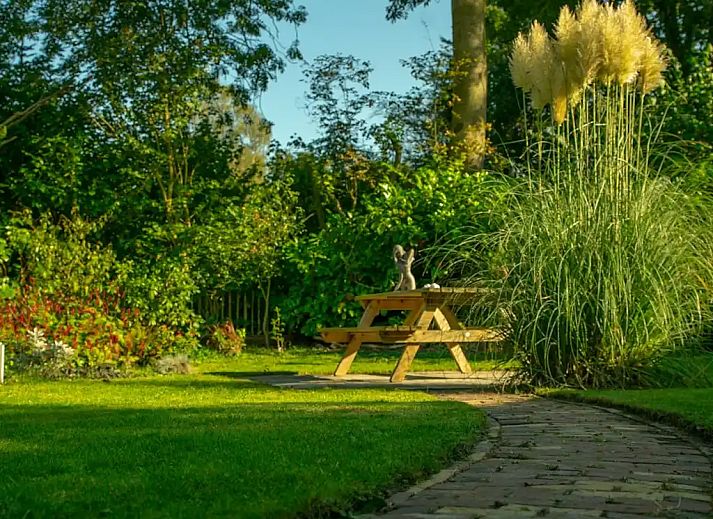 Unterkunft 231517 - Ferienhaus Friese bossen - De Pimpelmees