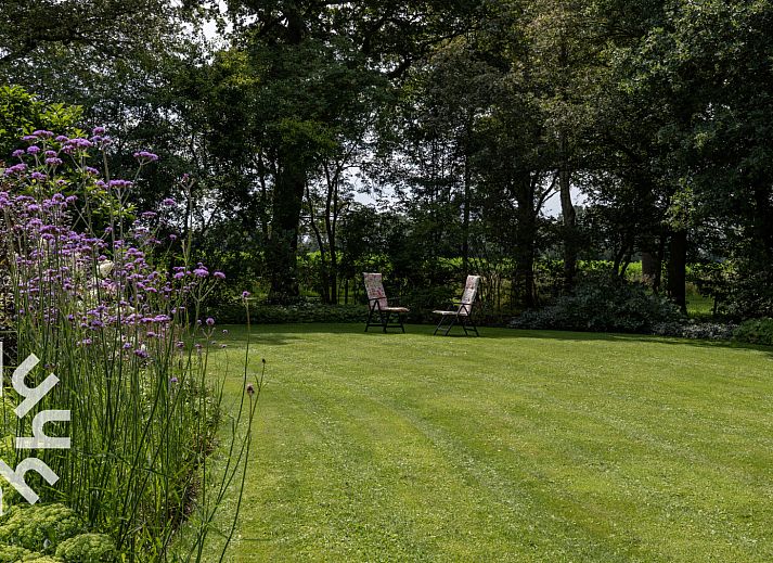 Guest house 231519 - Holiday property Friese bossen - FR362