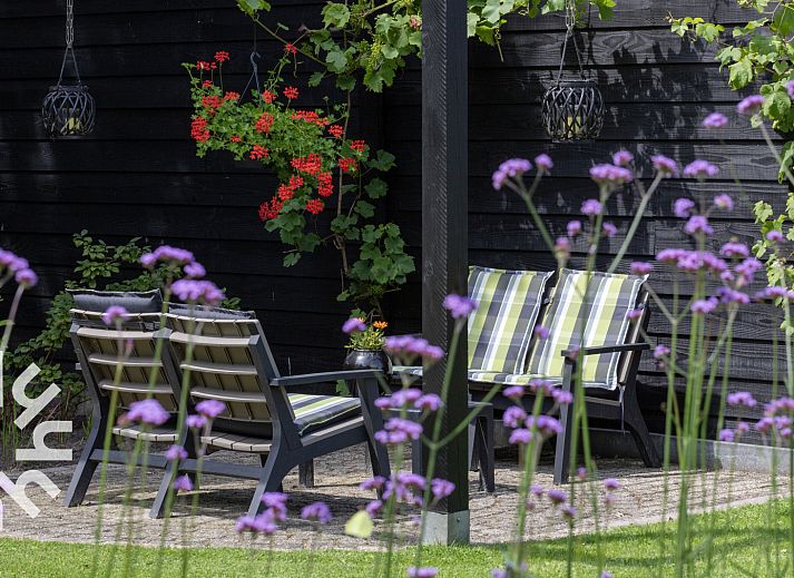 Guest house 231519 - Holiday property Friese bossen - FR362