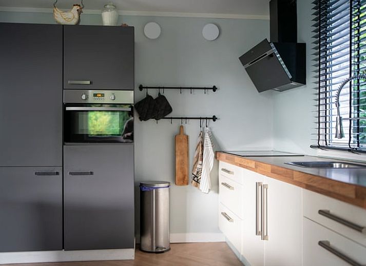 Guest house 231522 - Holiday property Friese bossen - Vakantiehuis in Boijl