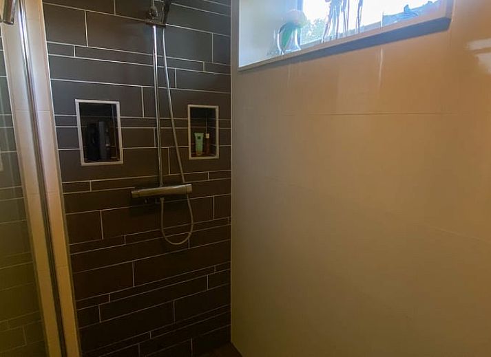 Guest house 231522 - Holiday property Friese bossen - Vakantiehuis in Boijl