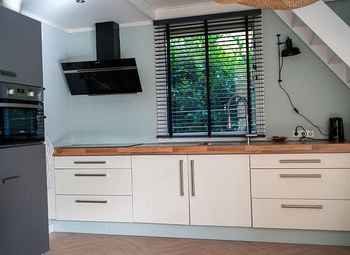 Guest house 231522 - Holiday property Friese bossen - Vakantiehuis in Boijl