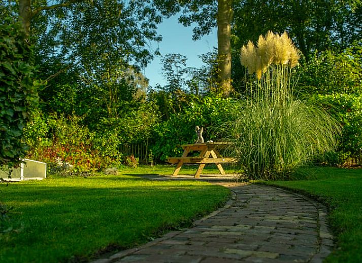 Guest house 231522 - Holiday property Friese bossen - Vakantiehuis in Boijl