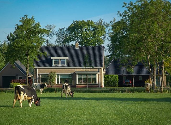 Verblijf 231602 • Vakantiewoning Friese bossen • Vakantiehuis in Hoornsterzwaag