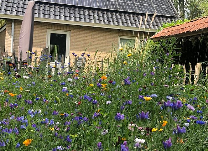 Vakantiehuisje in Hoornsterzwaag met uitzicht op groene tuin in Friese bossen, Friesland.