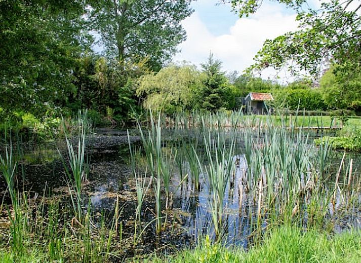 Gezellig terras bij Vakantiehuisje in Hoornsterzwaag, omgeven door natuur in Friesland.