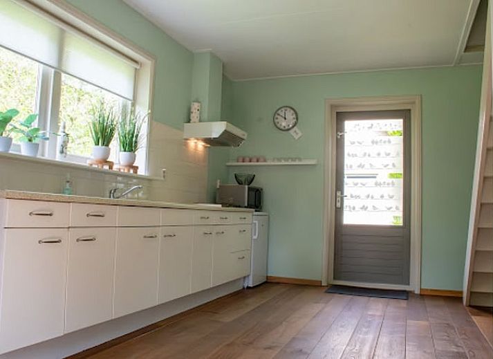 Kleurrijke bloemen bij Vakantiehuisje in Hoornsterzwaag, midden in de Friese natuur.