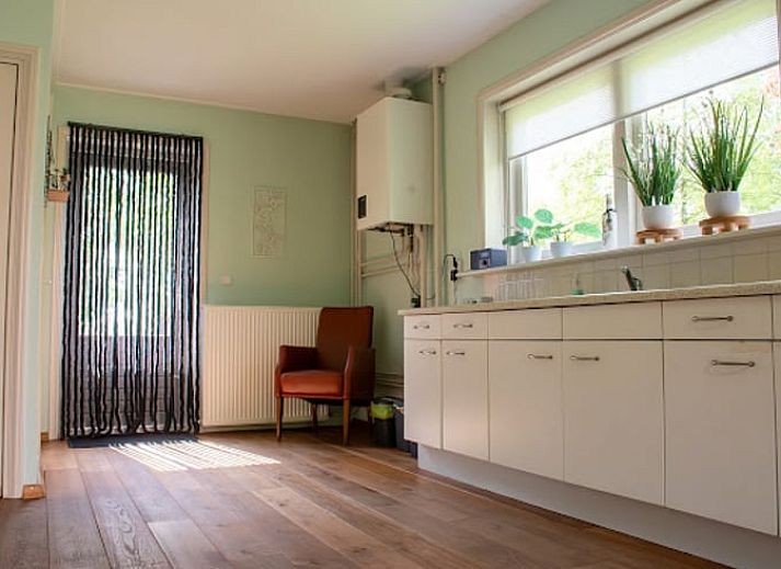 Kleurrijke bloemen bij Vakantiehuisje in Hoornsterzwaag, midden in de Friese natuur.