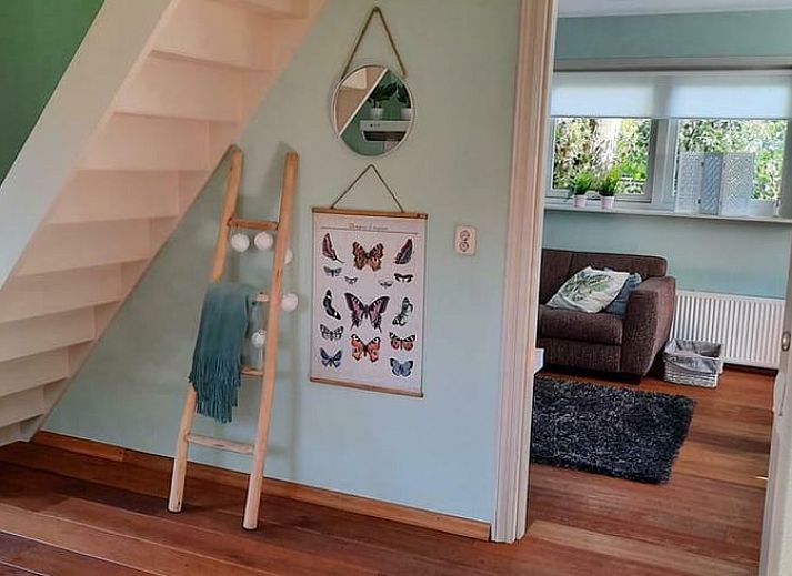 Kleurrijke bloemen bij Vakantiehuisje in Hoornsterzwaag, midden in de Friese natuur.