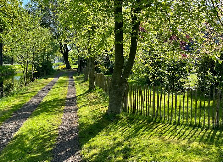 Rustieke charme van Vakantiehuisje in Hoornsterzwaag, gelegen in de Friese bossen.