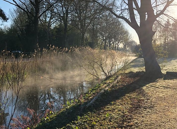 Zonnig terras van Vakantiehuisje in Hoornsterzwaag, ideaal voor ontspanning in Friesland.