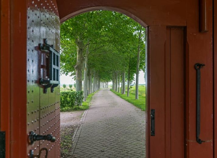 Unterkunft 231702 - Ferienhaus Friese bossen - Huisje in Allingawier