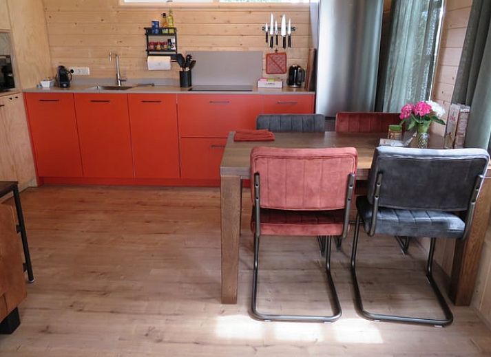 Unterkunft 232302 - Ferienhaus Friese bossen - Vakantiehuis in Gorredijk