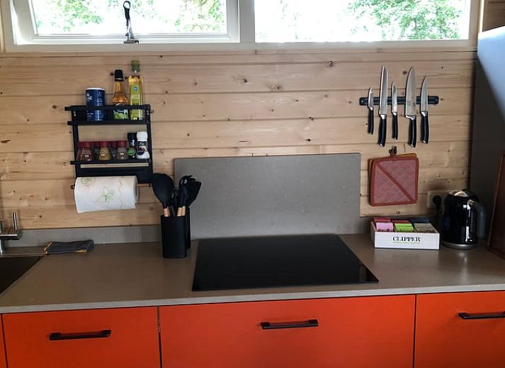 Unterkunft 232302 - Ferienhaus Friese bossen - Vakantiehuis in Gorredijk