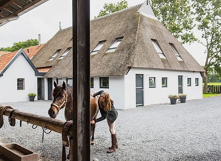 Unterkunft 232401 - Ferienhaus Friese bossen - Vakantiehuisje in Langedijke