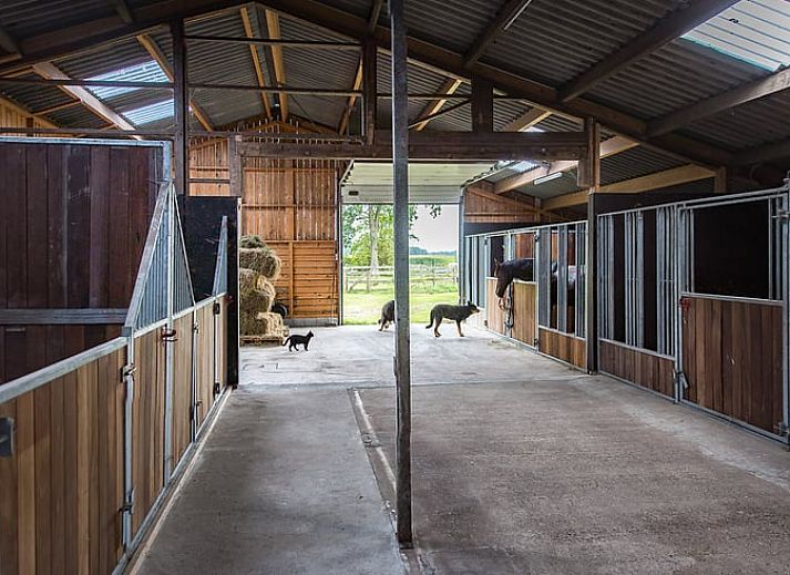 Unterkunft 232401 - Ferienhaus Friese bossen - Vakantiehuisje in Langedijke