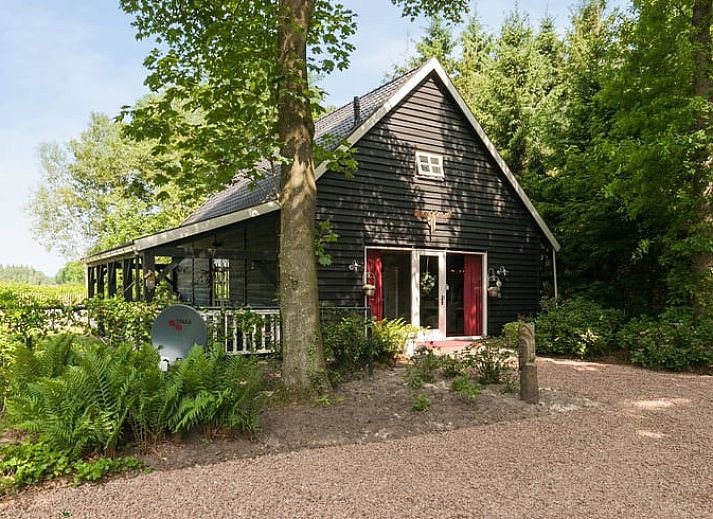 Guest house 232611 • Holiday property Friese bossen • Vakantiehuisje in Wijnjewoude 