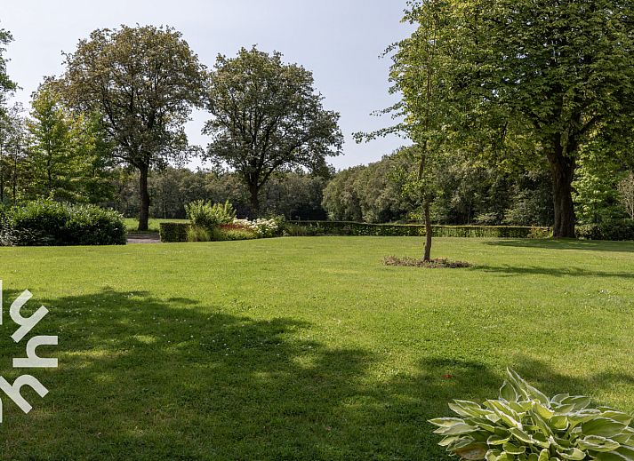 Guest house 232612 - Holiday property Friese bossen - FR260