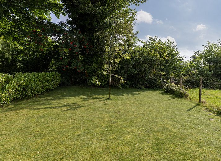 Unterkunft 232706 - Ferienhaus Friese bossen - FR117