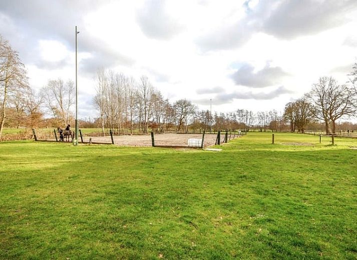 Unterkunft 232708 - Ferienhaus Friese bossen - Vakantiehuis in Houtigehage